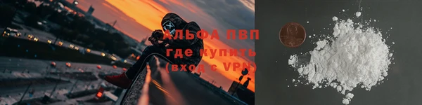 ГАЛЛЮЦИНОГЕННЫЕ ГРИБЫ Белоозёрский