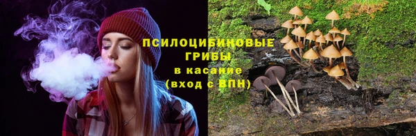 гидра Осташков