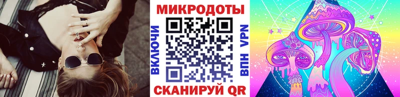 Галлюциногенные грибы Cubensis  закладка  Шимановск 