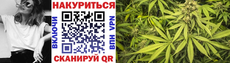 Конопля семена  купить наркотик  Шимановск 